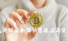 TP钱包升级后如何快速适应
