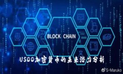 USDD加密货币的未来潜力分