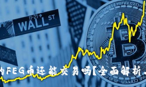 :
TP钱包中的FEG币还能交易吗？全面解析与操作指南