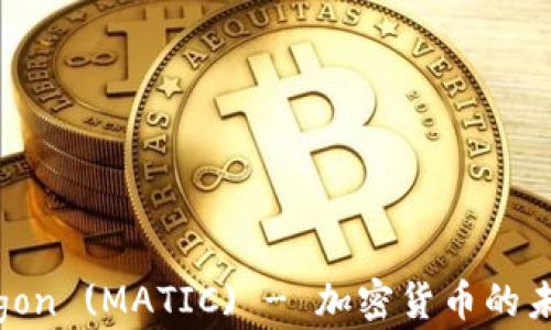 
全面解析Polygon (MATIC) - 加密货币的未来与投资潜力