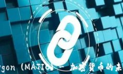 全面解析Polygon (MATIC) - 加