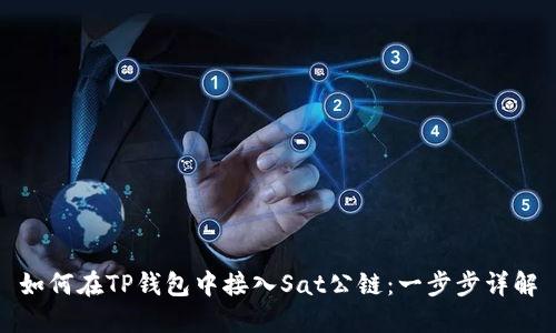 如何在TP钱包中接入Sat公链：一步步详解