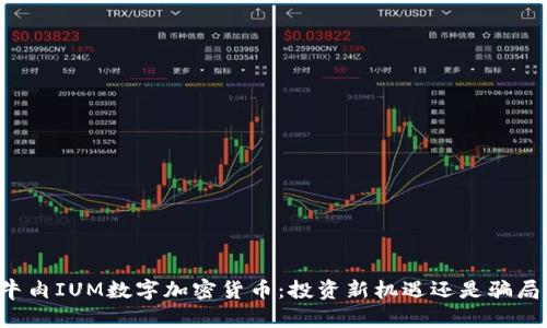 牛肉IUM数字加密货币：投资新机遇还是骗局？