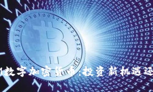 牛肉IUM数字加密货币：投资新机遇还是骗局？