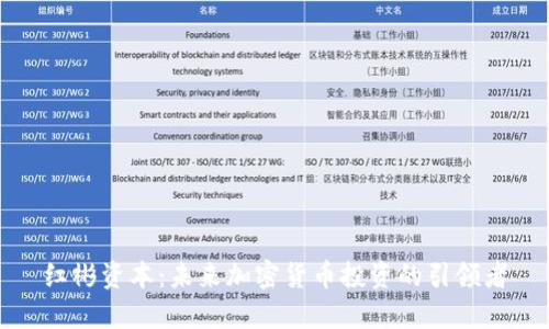 红彬资本：未来加密货币投资的引领者