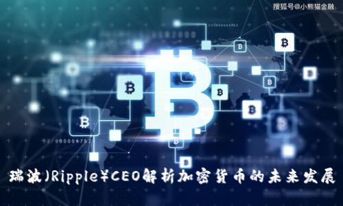 瑞波（Ripple）CEO解析加密货币的未来发展