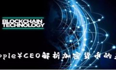 瑞波（Ripple）CEO解析加密