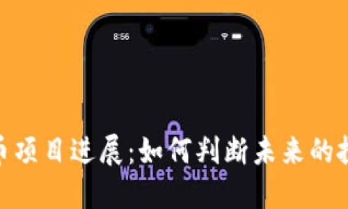 加密货币项目进展：如何判断未来的投资机会