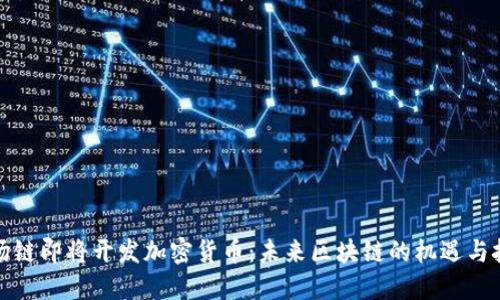 波场链即将开发加密货币：未来区块链的机遇与挑战