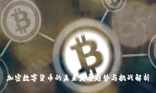 加密数字货币的未来发展趋势与挑战解析