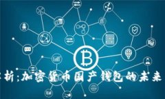 全面解析：加密货币国产