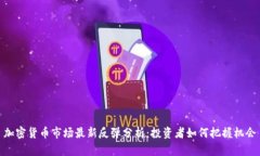 加密货币市场最新反弹分