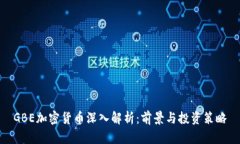 GBE加密货币深入解析：前