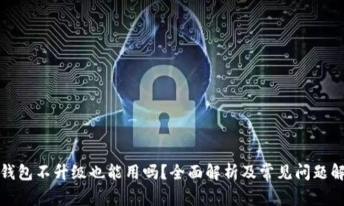 TP钱包不升级也能用吗？全面解析及常见问题解答
