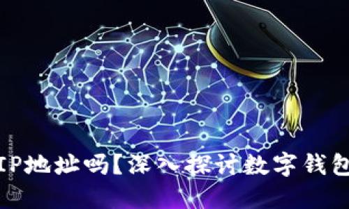 TP钱包能查到IP地址吗？深入探讨数字钱包的隐私安全性