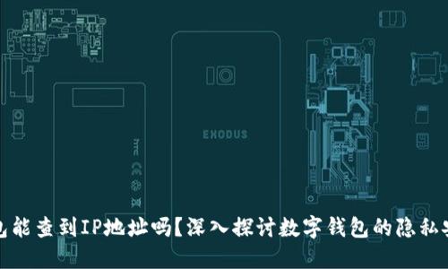 TP钱包能查到IP地址吗？深入探讨数字钱包的隐私安全性
