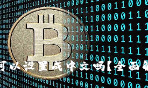 TP钱包的私钥可以设置成中文吗？全面解析与安全建议