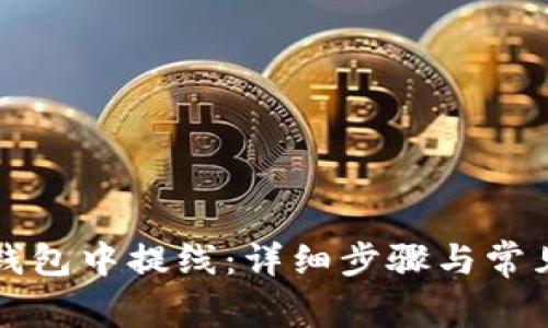 如何在TP钱包中提线：详细步骤与常见问题解答