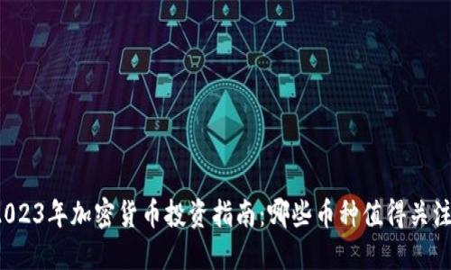 2023年加密货币投资指南：哪些币种值得关注？