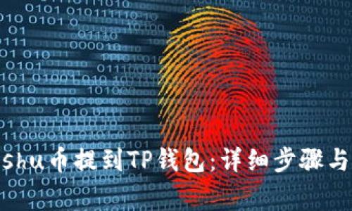 如何将Kishu币提到TP钱包：详细步骤与注意事项