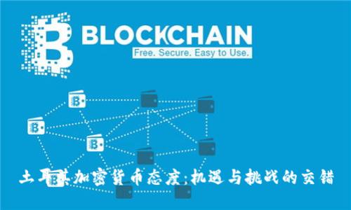 土耳其加密货币态度：机遇与挑战的交错