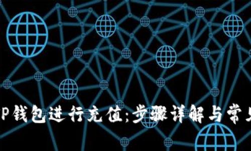 如何使用TP钱包进行充值：步骤详解与常见问题解答