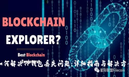 如何解决TP钱包丢失问题：详细指南与解决方案
