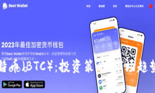 全面解读比特币（BTC）：投资策略、市场趋势与未来展望
