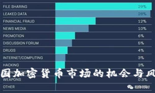 挑战美国加密货币市场的机会与风险分析