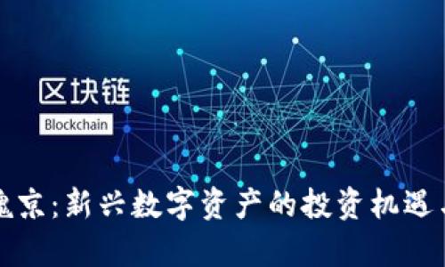 加密货币魏京：新兴数字资产的投资机遇与风险解析