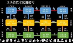2023年加密货币上市公司大