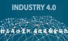 加密货币打击成功案例：