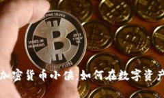 深入解析加密货币小侠：