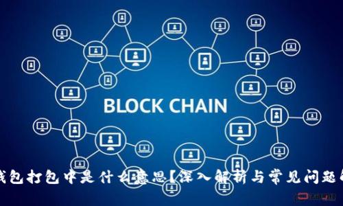 TP钱包打包中是什么意思？深入解析与常见问题解答
