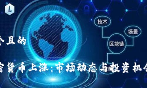 思考一个且的

夜盘加密货币上涨：市场动态与投资机会全解析