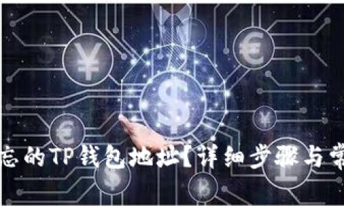 如何找回遗忘的TP钱包地址？详细步骤与常见问题解答