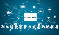 俄罗斯加密数字货币发展