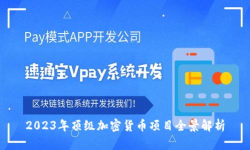 2023年顶级加密货币项目全景解析