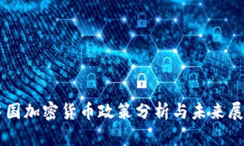 中国加密货币政策分析与未来展望