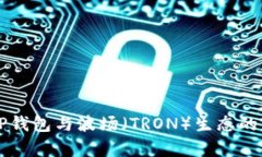 全面解析TP钱包与波场（