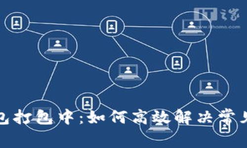 TP钱包打包中：如何高效解决常见问题