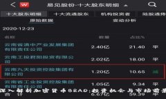 深入解析加密货币BRAD：投
