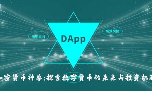 加密货币神兽：探索数字货币的未来与投资机遇