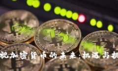 审视加密货币的未来：机