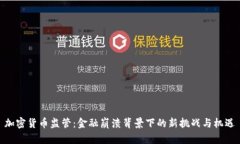 加密货币监管：金融崩溃