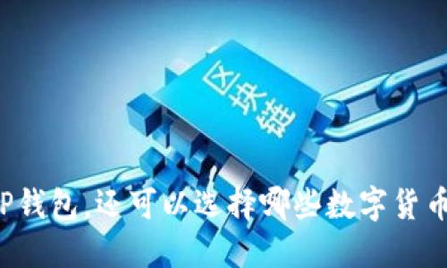 除了TP钱包，还可以选择哪些数字货币钱包？