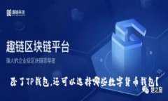除了TP钱包，还可以选择哪