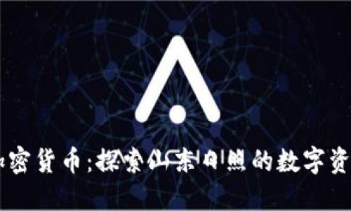 日照加密货币：探索山东日照的数字资产未来
