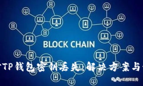 如何应对TP钱包密钥丢失：解决方案与预防措施