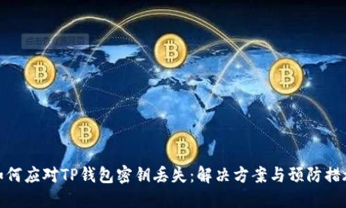 如何应对TP钱包密钥丢失：解决方案与预防措施
